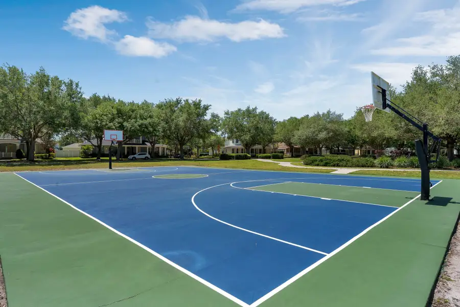Basketball Court Basketball Court