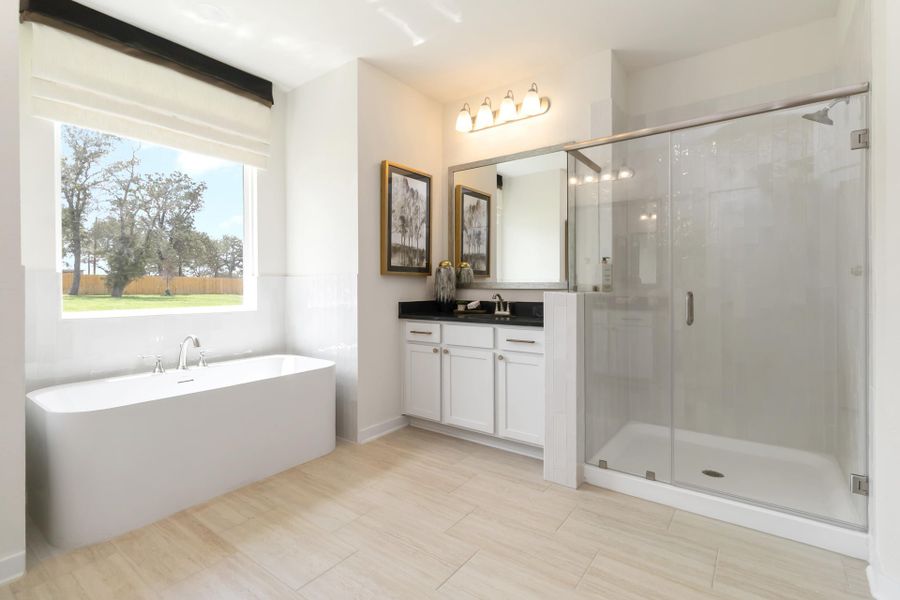 3502 Prairie Cactus - Arlington Model