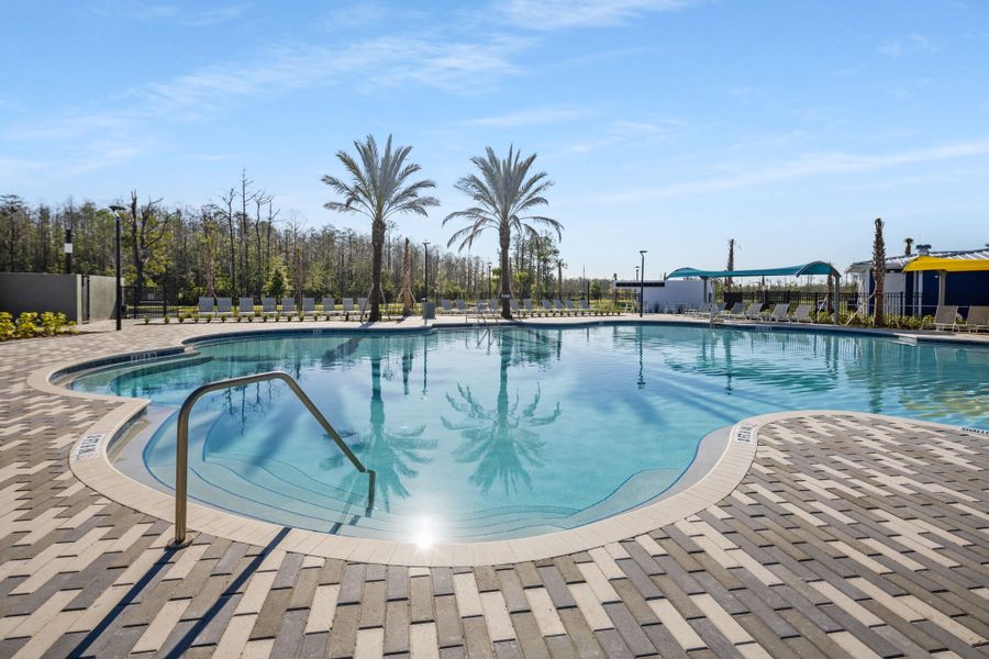 Amenity Pool