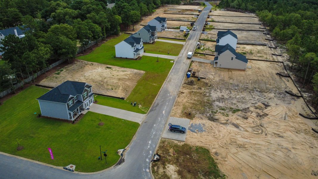 Aerial view of the Birdhaven community in Lexington, SC, showing layout and nearby surroundings (Image 4).