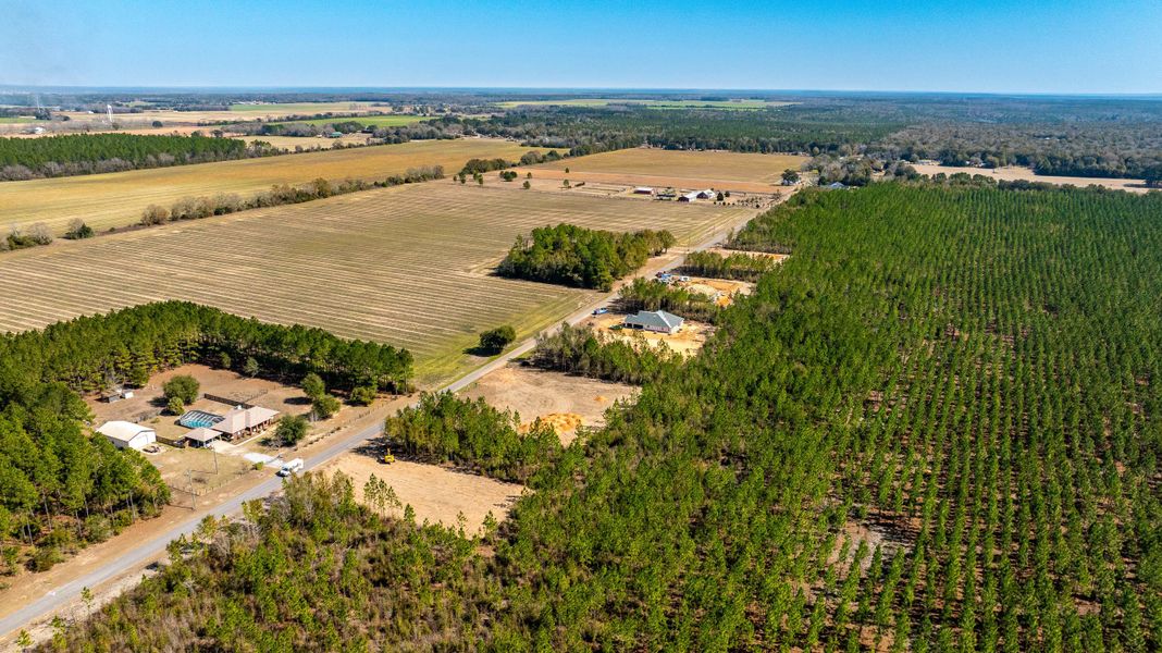 Site preparation and early development at Walther Reserve in Milton, FL (Image 7). Site preparation and early development at Walther Reserve in Milton, FL (Image 7).
