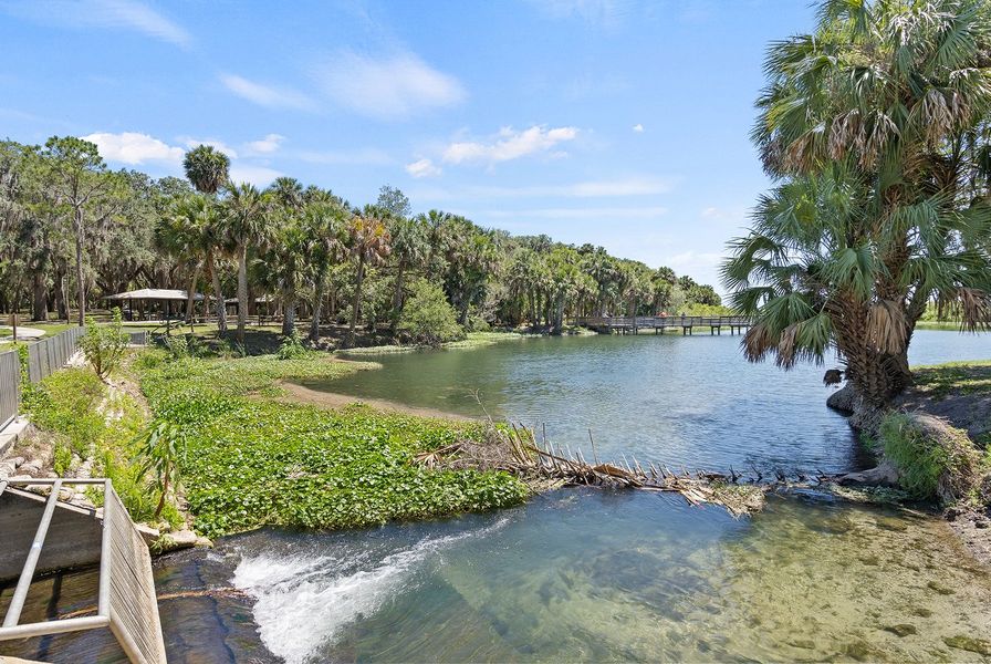 De Bary Gemini Springs Park 1of2 7 30 25