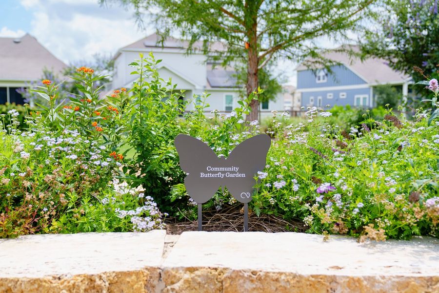 Image 11 of the The Crossvine community in Schertz, TX.