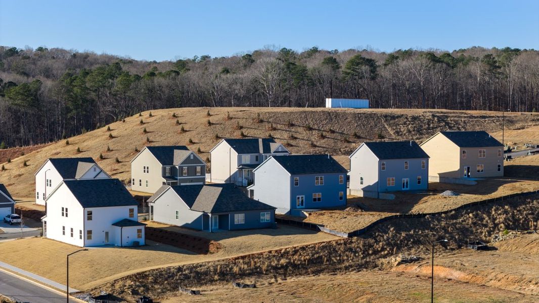 Aerial view of the Sheffield Highlands community in Dallas, GA, showing layout and nearby surroundings (Image 10).
