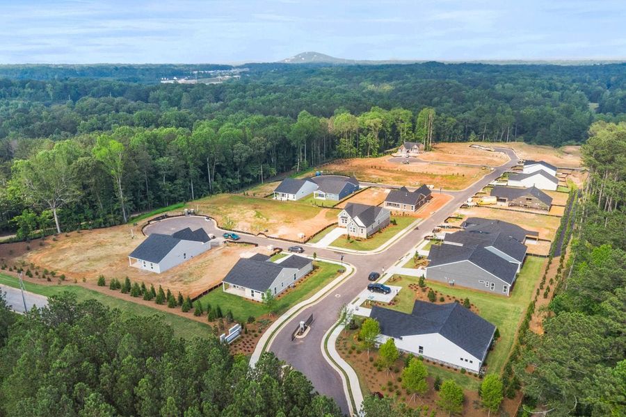 Aerial view of the Easton Park community in Dallas, GA, showing layout and nearby surroundings (Image 12).
