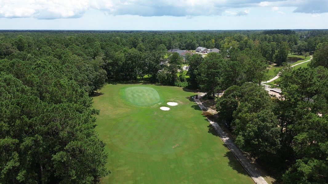 Image 14 of the The Preserve at Shaftesbury Glen community in Conway, SC.