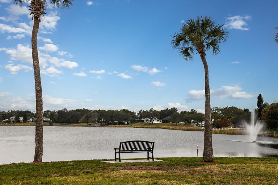 Natural surroundings and green spaces near Gum Lake Preserve in Lake Alfred, FL (Image 10).