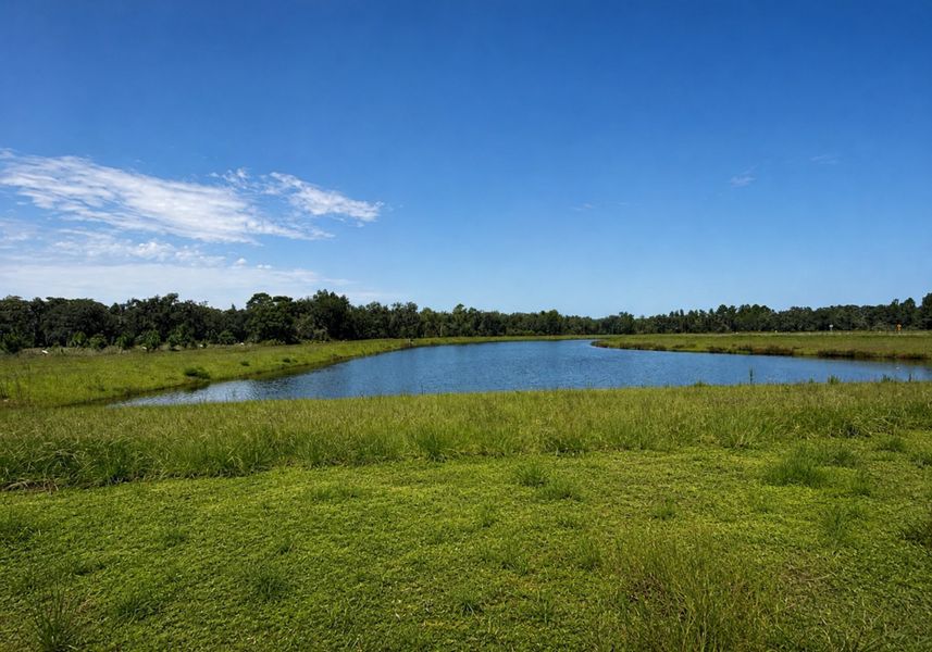 Natural surroundings and green spaces near Hontoon Reserve in Deland, FL (Image 12).