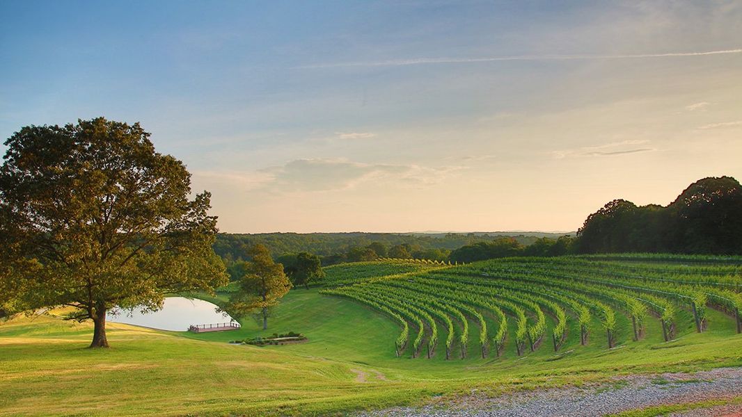 Natural surroundings and green spaces near Mountain Park in Dahlonega, GA (Image 60).