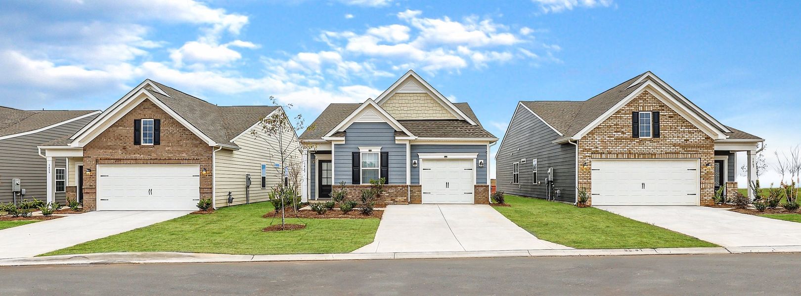 Roselyn Garden Collection