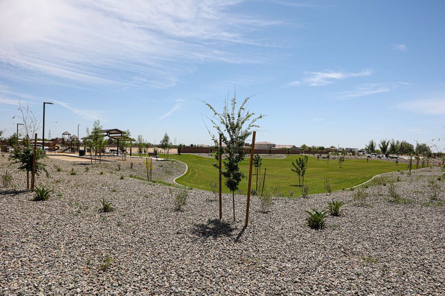 Community amenity available to residents of Landmarke in Queen Creek (Image 14).