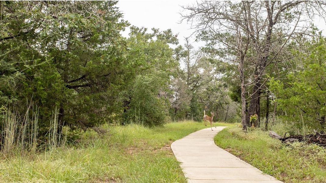 The Colony Amenity Trails