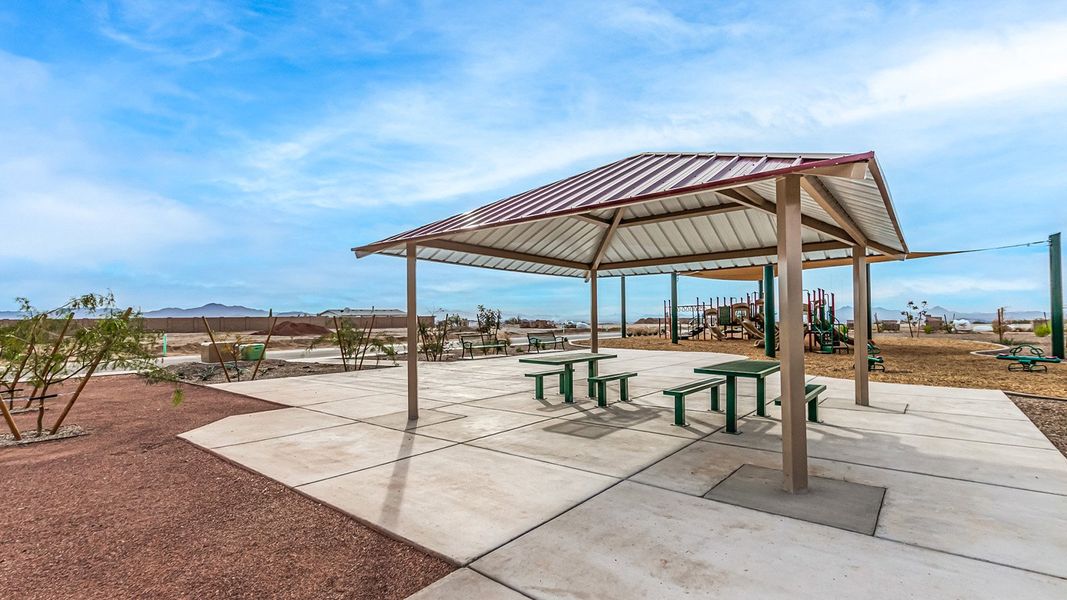 Community amenity available to residents of Tortolita Trails in Marana (Image 15).