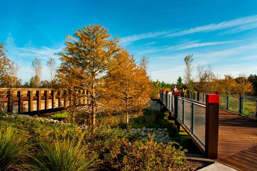 Natural surroundings and green spaces near Soleta at Starkey Ranch – Executive Series in Odessa, FL (Image 5). Natural surroundings and green spaces near Soleta at Starkey Ranch – Executive Series in Odessa, FL (Image 5).