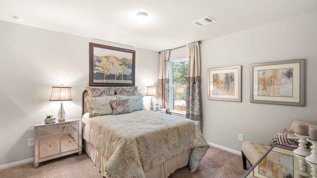 Image 8 of the South Meadows community in Willis, TX.