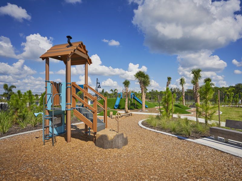 Community amenity available to residents of Magnolia Bay - Reserve Series in Nokomis (Image 14).
