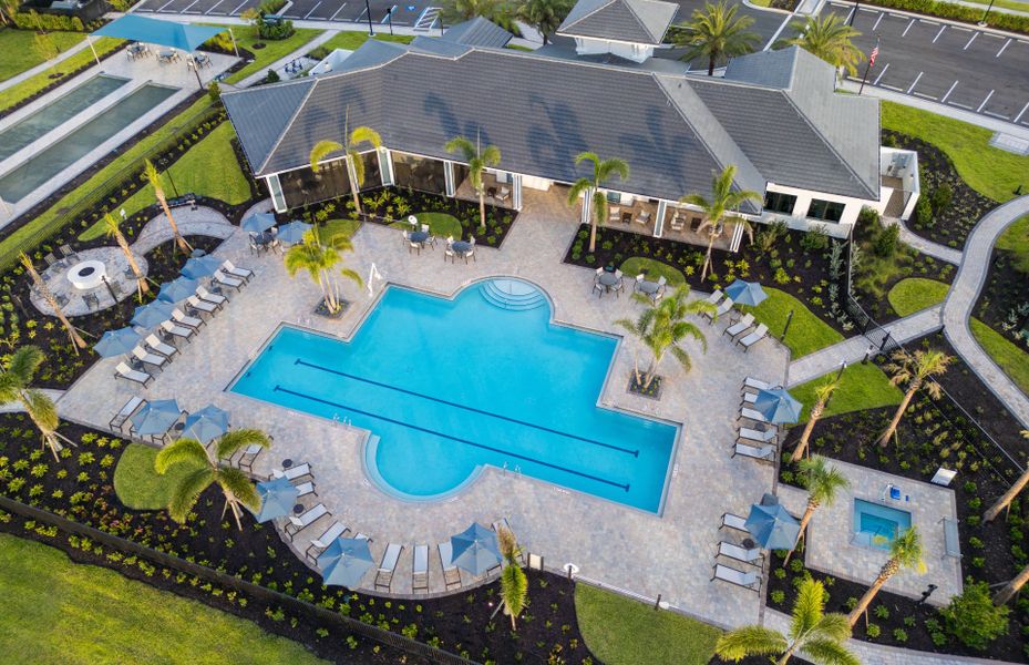 Enjoy Your Dream New Home in Arbor Oaks. Where Neighbors Become Friends