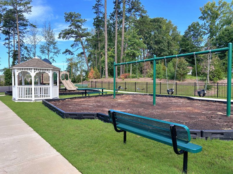 Community amenity available to residents of Carpenters Pointe in Cary (Image 2).
