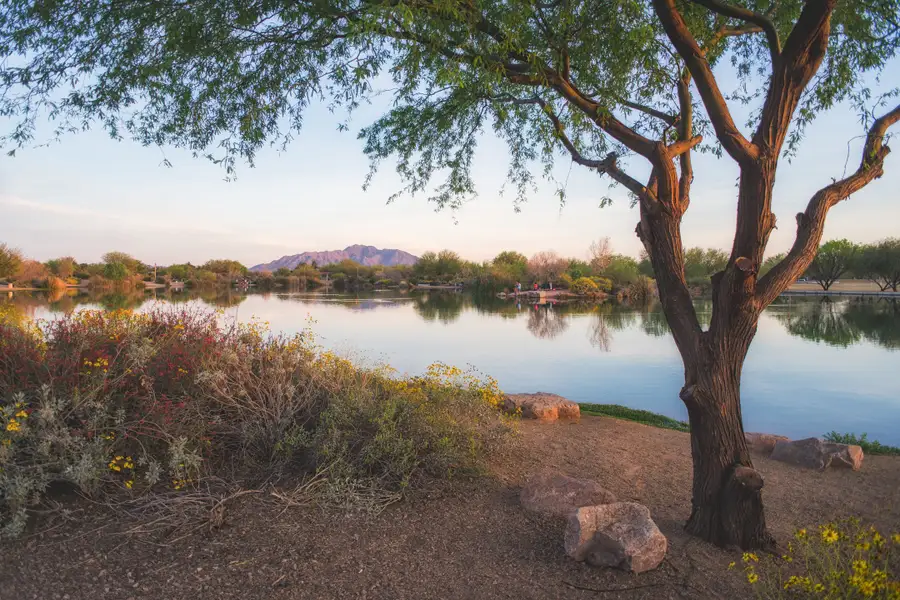 Natural surroundings and green spaces near Jacamar at Waterston Central in Gilbert, AZ (Image 22). Natural surroundings and green spaces near Jacamar at Waterston Central in Gilbert, AZ (Image 22).