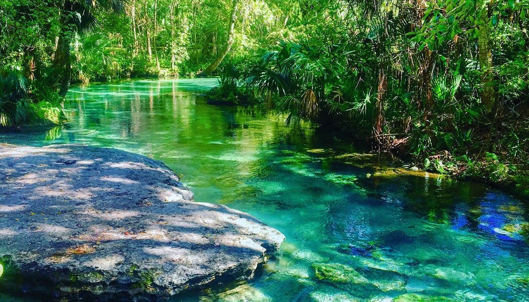 Beautiful & serene Wekiwa Springs