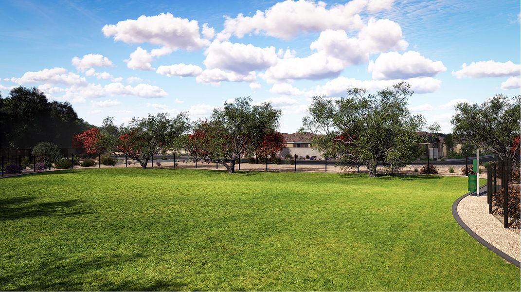 Riverwalk Discovery Amenity Dog Park Riverwalk Discovery Amenity Dog Park