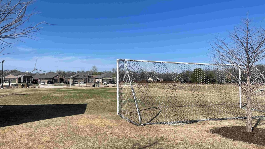 Community amenity available to residents of Springhill South in Boyd (Image 9).