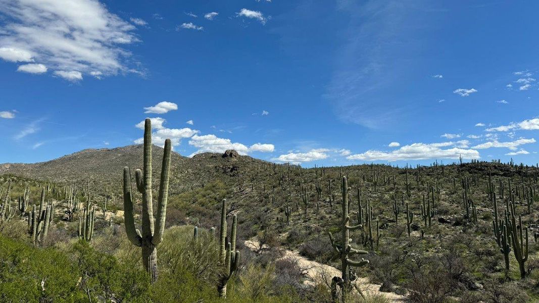 Image 101 of the The Oasis at Rocking K community in Vail, AZ.