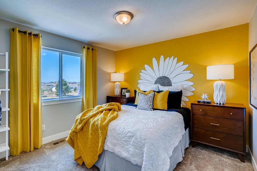 Image 17 of the Enclave at Pine Grove community in Parker, CO.