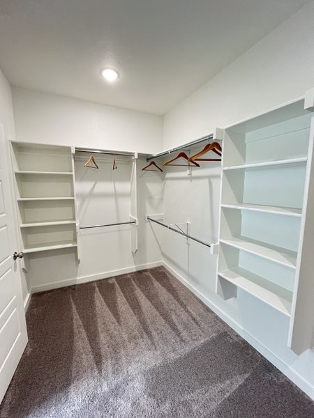 A spacious walk-in closet featuring ample shelving, hanging rods, and plush carpeting for organized storage.
