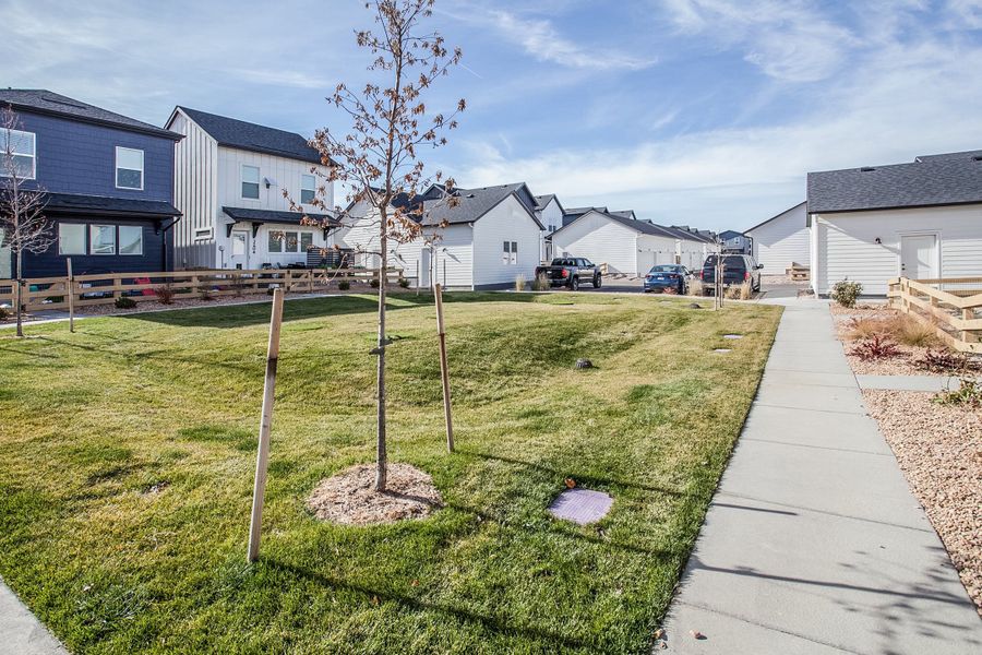 Image 38 of the Bloom community in Fort Collins, CO.