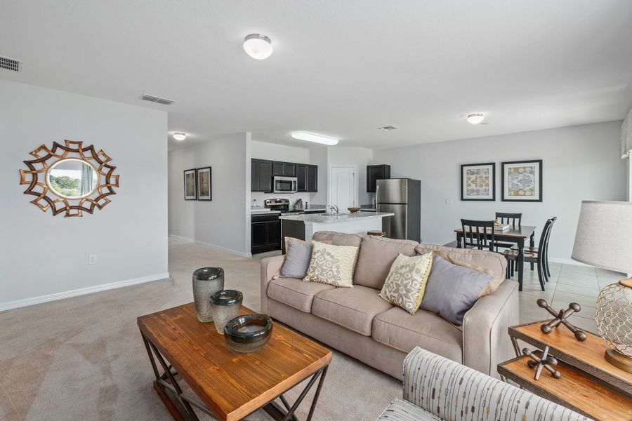 Image 10 of the Zephyr Place community in Zephyrhills, FL.