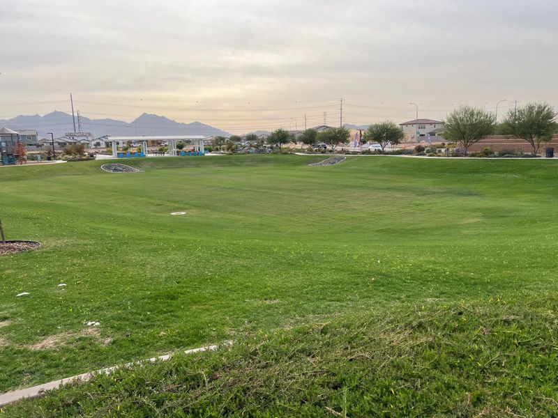 Expansive green park with mountain views in Highland Ridge at Alamar by Brookfield Residential (Avondale, AZ).