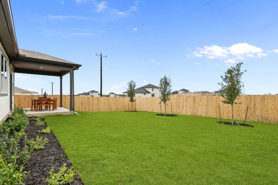 A backyard with a fence and a tree. A backyard with a fence and a tree.