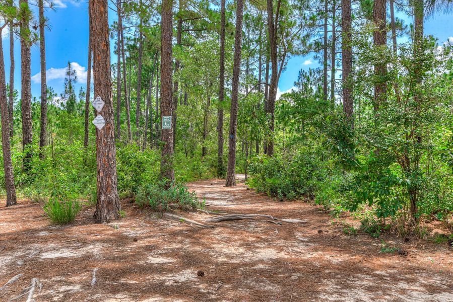 Natural surroundings and green spaces near The Landing at Peachtree Hills in Lexington, SC (Image 9).