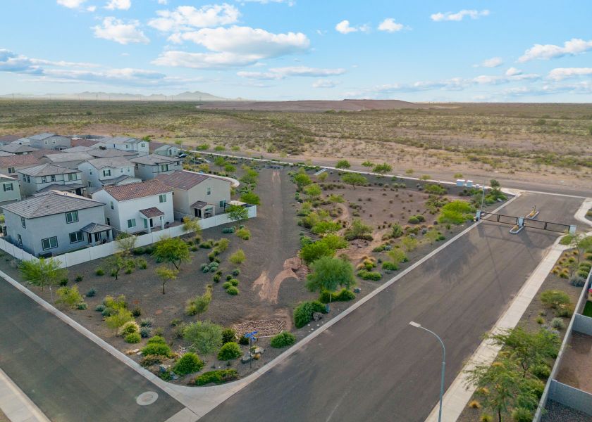 A road with houses and trees. A road with houses and trees.