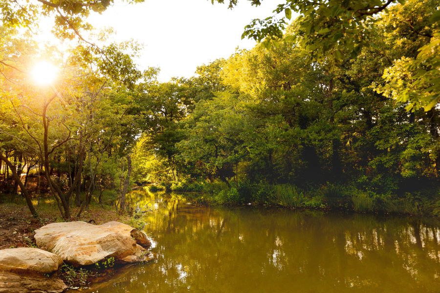 Natural surroundings and green spaces near Wildridge in Oak Point, TX (Image 35). Natural surroundings and green spaces near Wildridge in Oak Point, TX (Image 35).