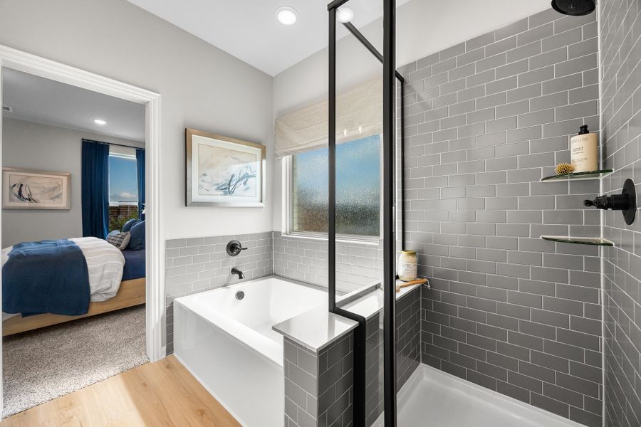 Palmilla Springs - Elderberry Model Home