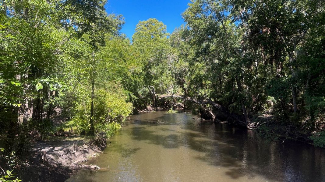 Natural surroundings and green spaces near Pasadena Woods in Wesley Chapel, FL (Image 8). Natural surroundings and green spaces near Pasadena Woods in Wesley Chapel, FL (Image 8).