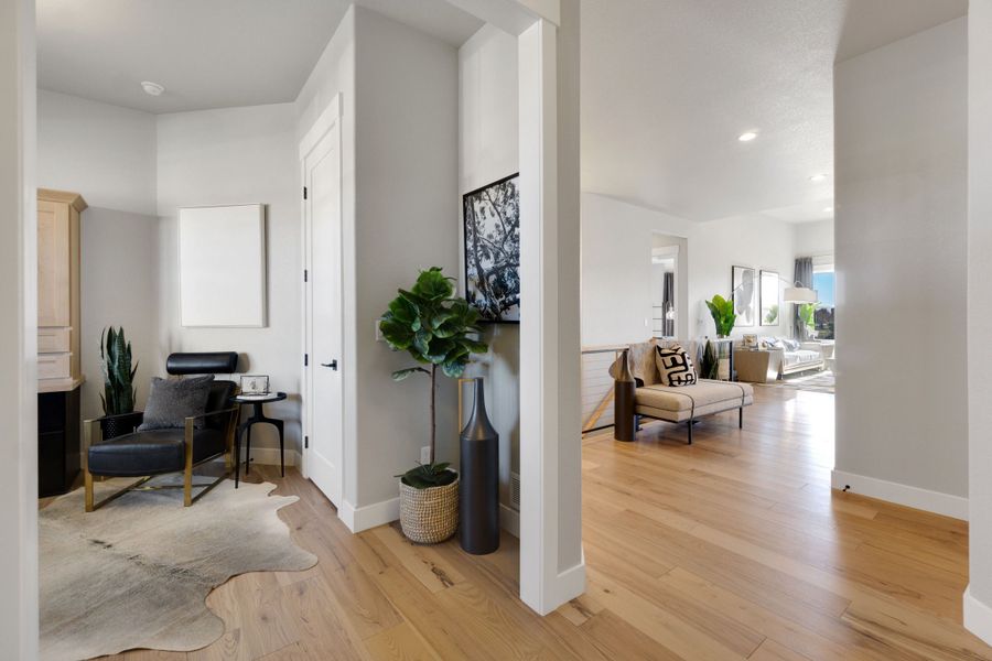 The Aurora Highlands,80019