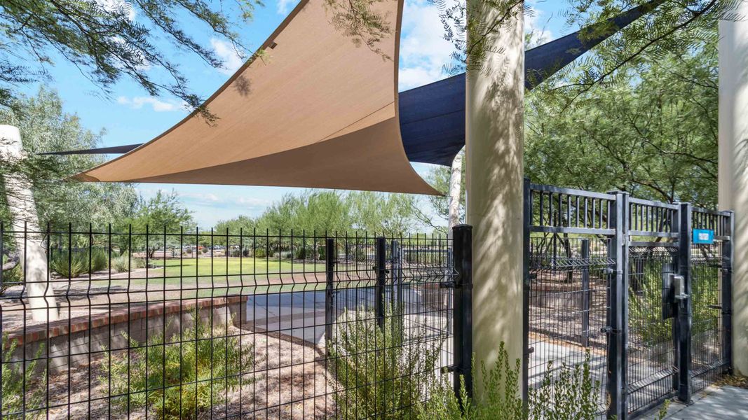 Community amenity available to residents of Anthem at Merrill Ranch in Florence (Image 36).