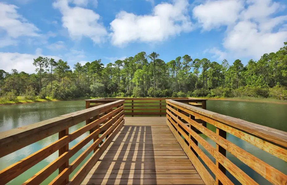 Fishing Dock
