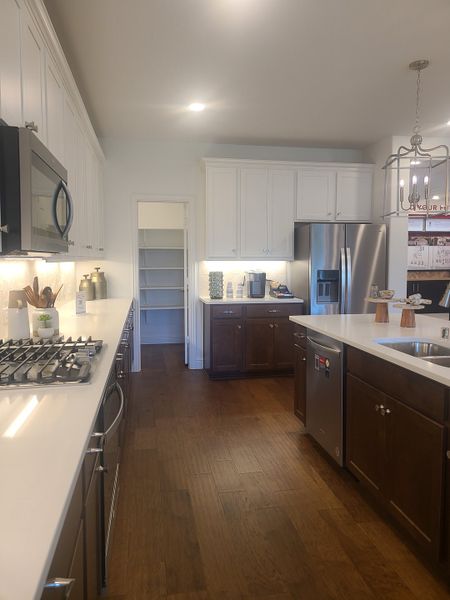 A modern kitchen with sleek appliances, wood flooring, white cabinetry, and a spacious pantry for ample storage.