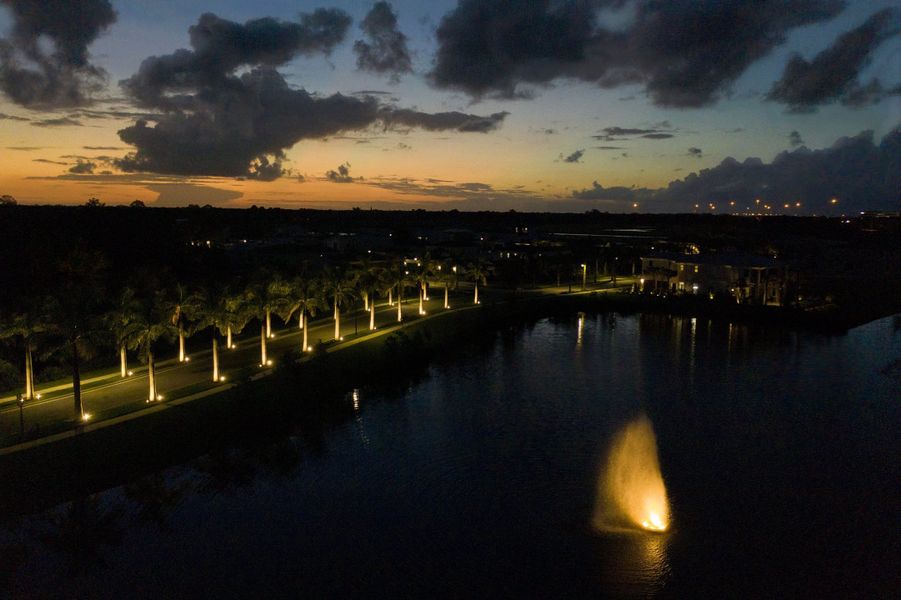 Bird's Eye Sunset View