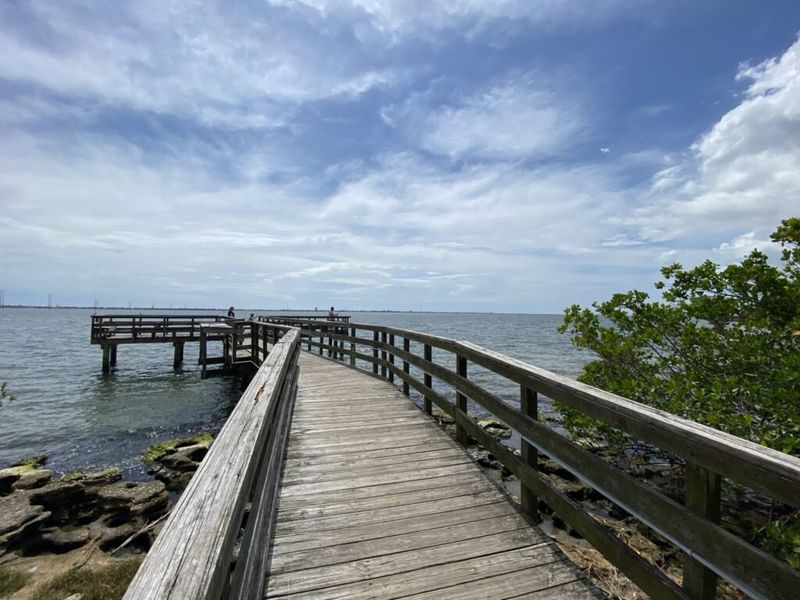 Natural surroundings and green spaces near Palm Bay in Palm Bay, FL (Image 42).