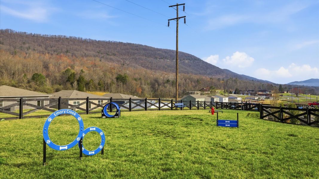 Community amenity available to residents of Emory Creek in Harriman (Image 12).