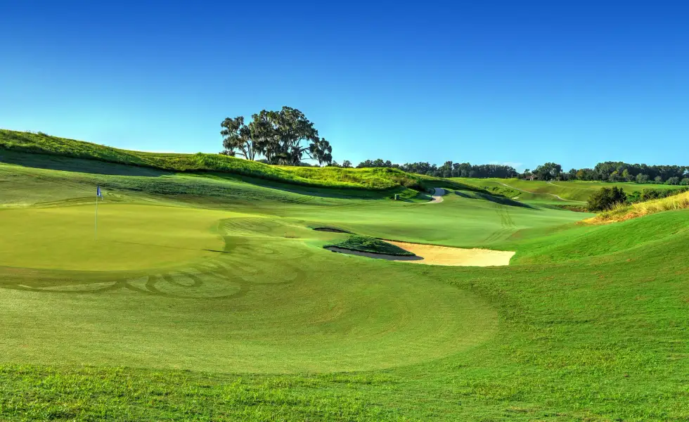 Natural surroundings and green spaces near Home & Homesite Packages in Ocala, FL (Image 18).