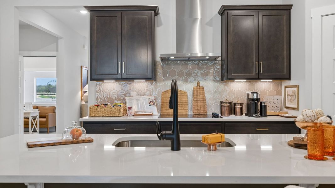Close-up of interior finishes in a home at Reserve at Hickory Ridge, Columbia (Image 115).