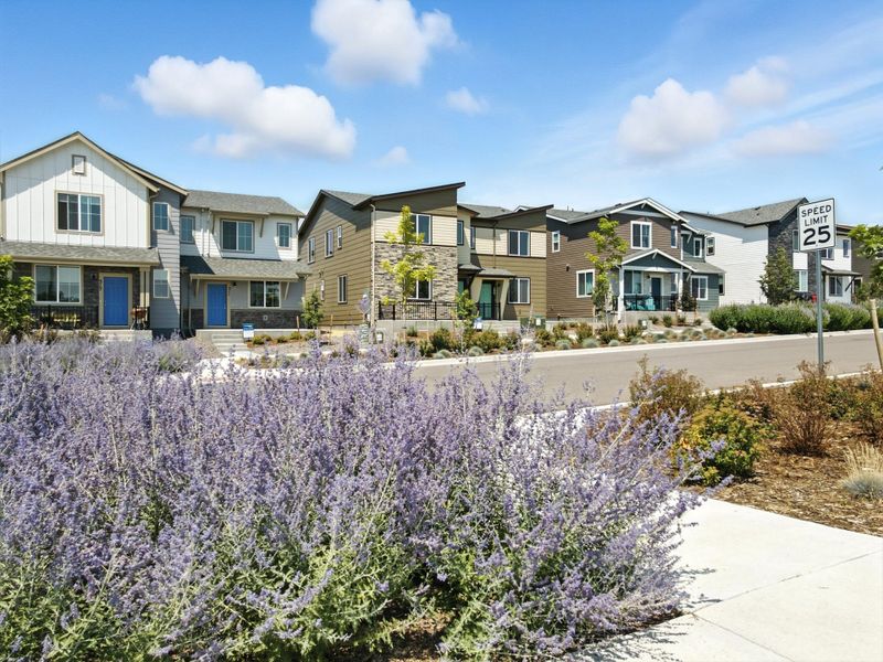 Front exterior of a home in the Pintail Commons at Johnstown Village community, located in Johnstown, CO (Image 4). Front exterior of a home in the Pintail Commons at Johnstown Village community, located in Johnstown, CO (Image 4).