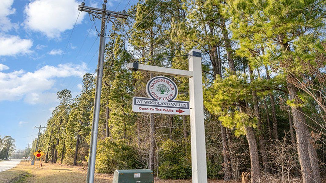 Image 22 of the Spring View Landing community in Loris, SC.