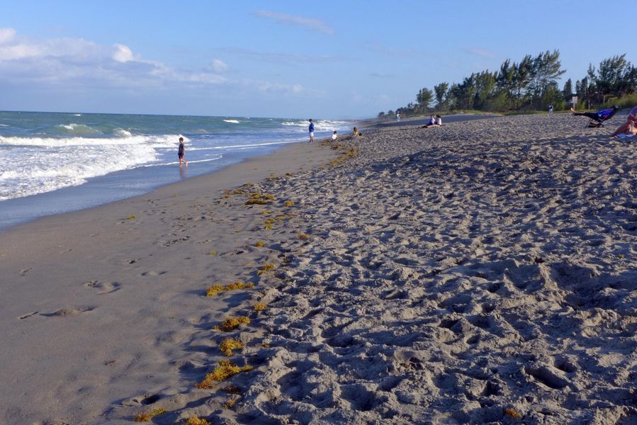 Miles of Beaches within 20 minutes